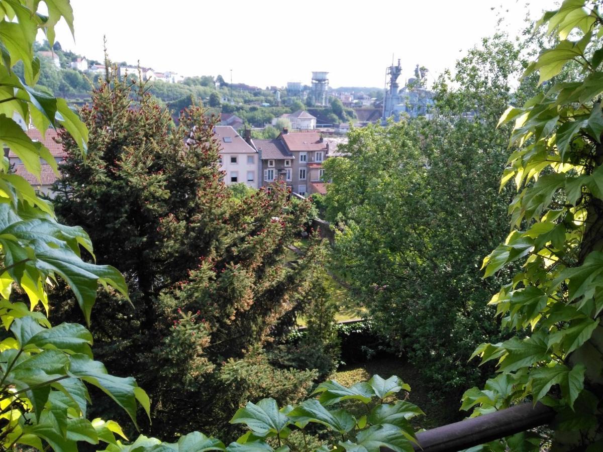 Villa Giselle Hayange Esterno foto