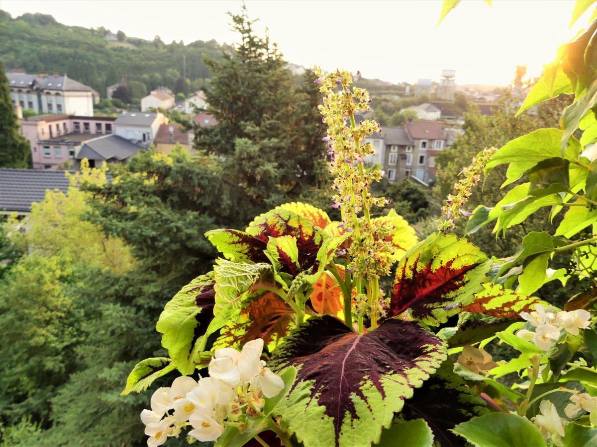 Villa Giselle Hayange Esterno foto